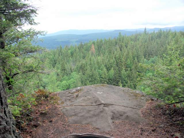 DSCF1387