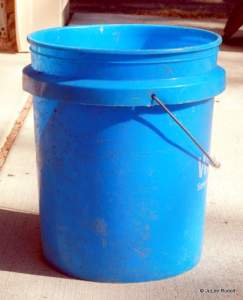 utility bucket for shellfish harvesting