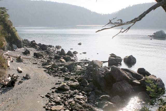 East end of Sharpe Cove