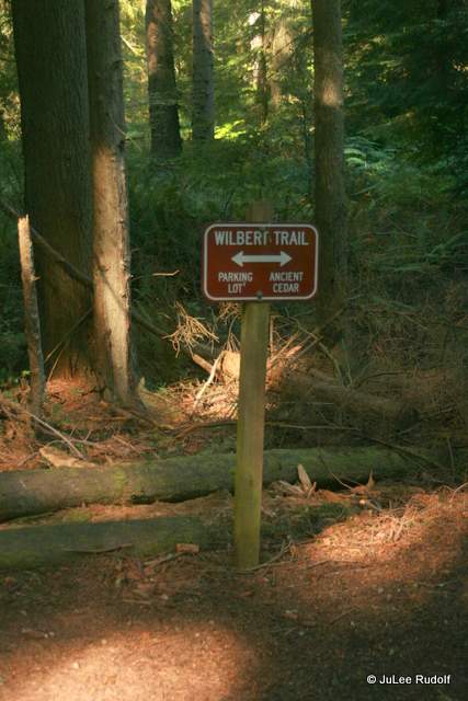 South Whidbey State Park