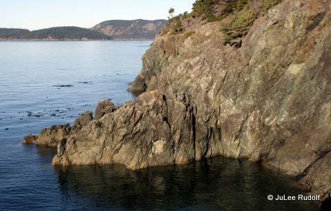 View from Bluff Trail at Sharpe Park