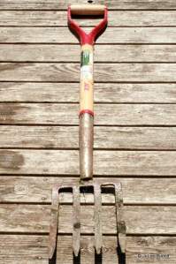 clamming pitch fork
