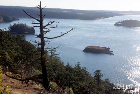 View of Deception Island (right), Rosario Head (left) and Northwest Island (center) from Sares Head Viewpoint at Sharpe Park