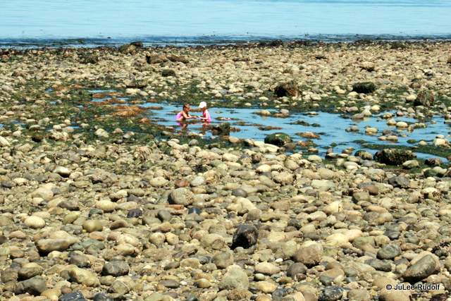 Libbey Beach