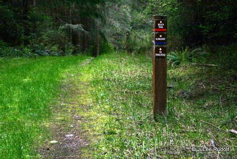 Dugualla State Park trail marker