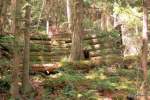 Tursi Trail miner's cabin