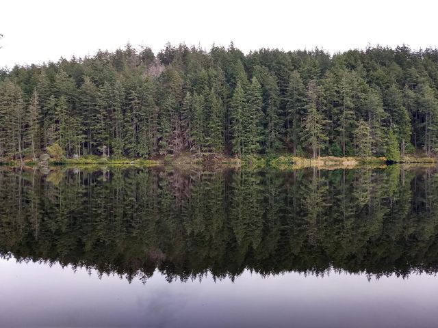 Cran reflection-001