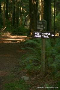 You've made a full loop. Ignore this sign and continue straight.