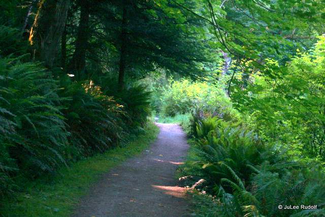 Beach trail at South Whidbey State Park